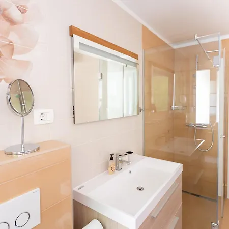 Satureja Montana Spalato