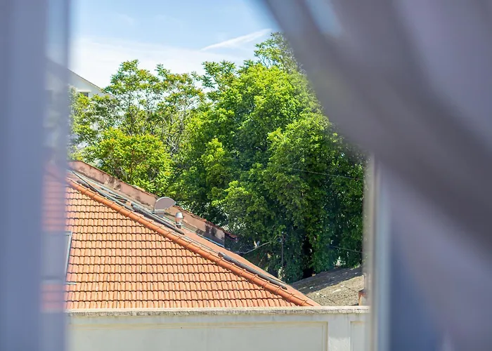 Satureja Montana Apartamento Split